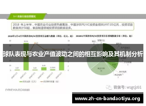 球队表现与农业产值波动之间的相互影响及其机制分析