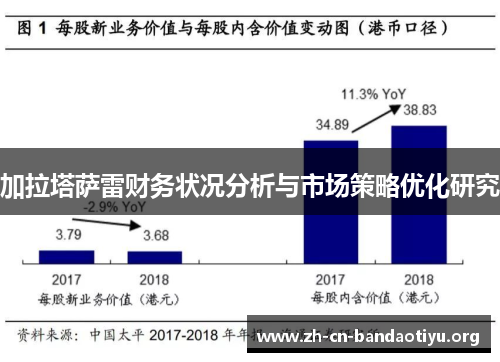 加拉塔萨雷财务状况分析与市场策略优化研究