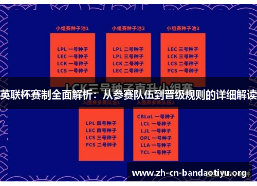 英联杯赛制全面解析：从参赛队伍到晋级规则的详细解读