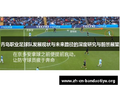 青岛职业足球队发展现状与未来路径的深度研究与前景展望